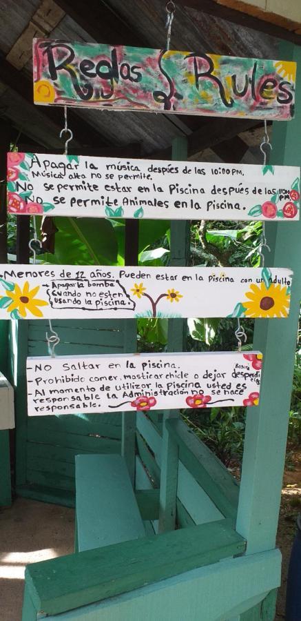 Cabana Vistas Del Bosque Jarabacoa Εξωτερικό φωτογραφία